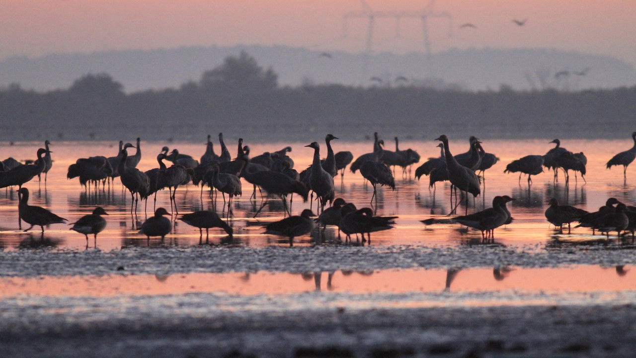 Négy évszak a magyar pusztán backdrop