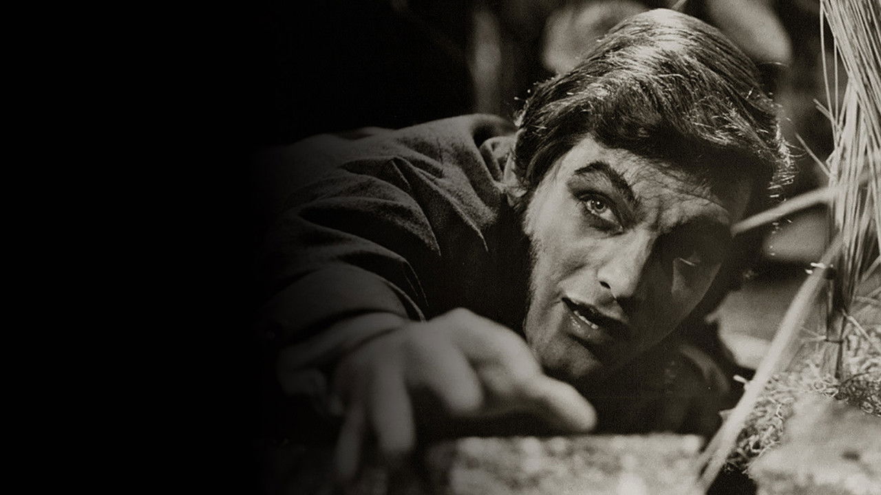 Dark Shadows: The Haunting of Collinwood backdrop