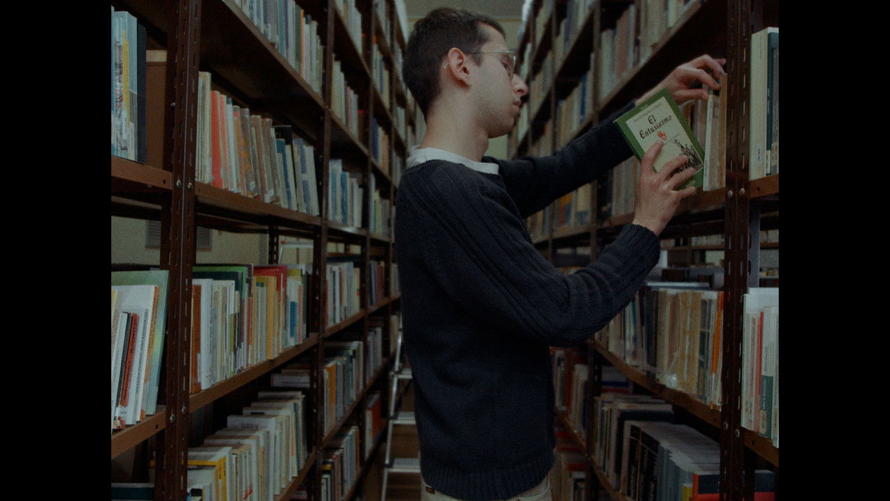 Refugis de paper backdrop