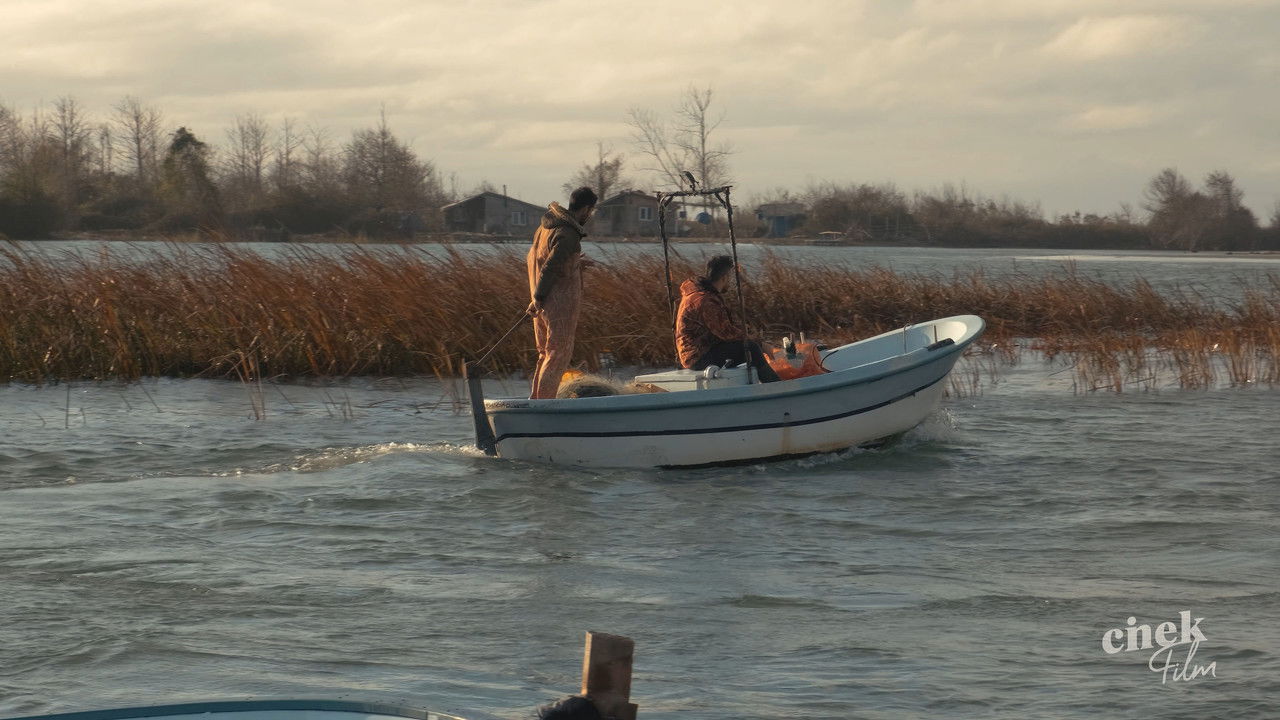 Cıva Burnu "Turkuaz" backdrop