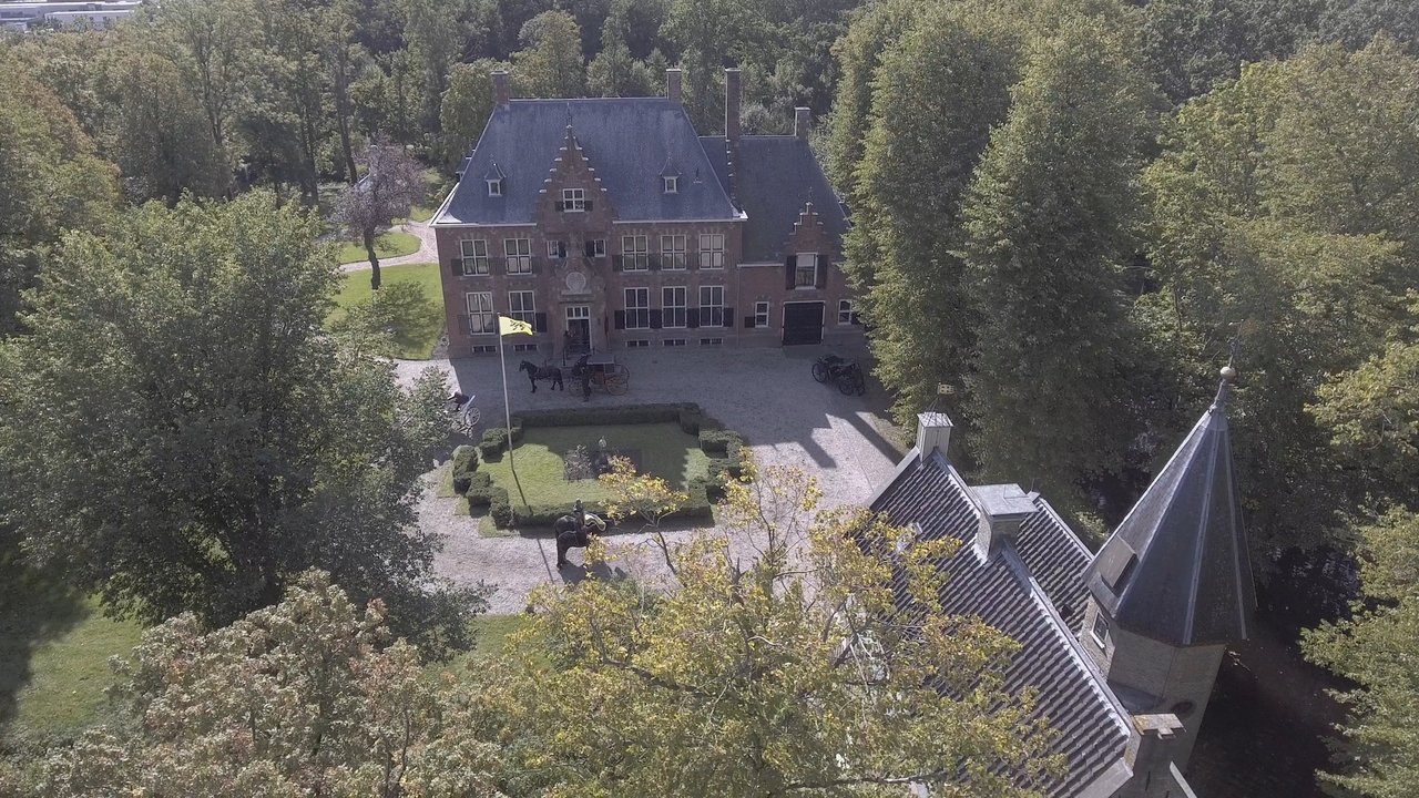 Grutte Pier backdrop