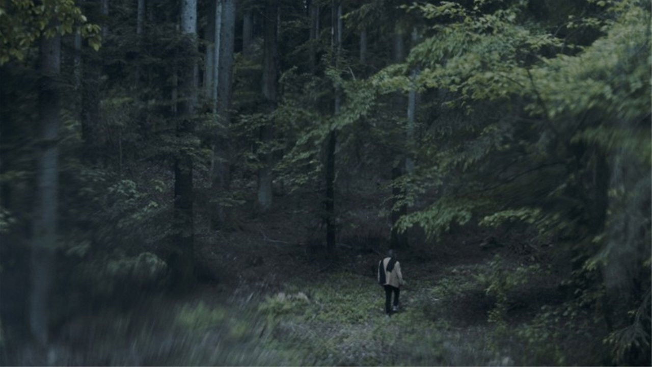 The Luminous View backdrop