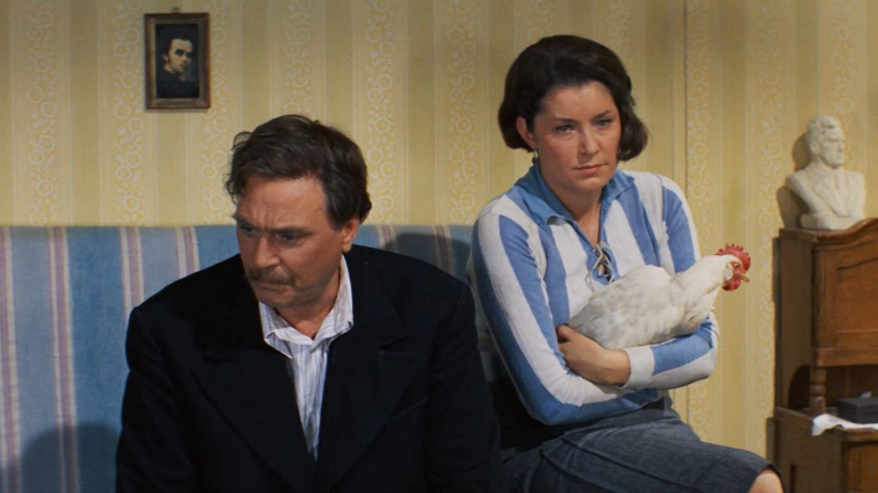 Earthy Love backdrop