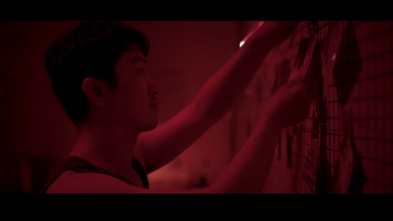 No One in the North backdrop