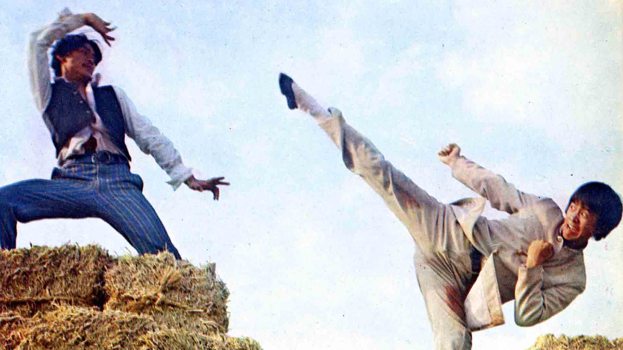 Bamboo Brotherhood backdrop