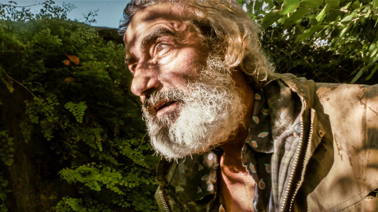 Un tiempo precioso backdrop