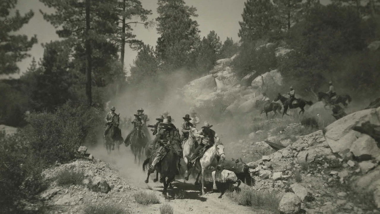 Hidden Gold backdrop