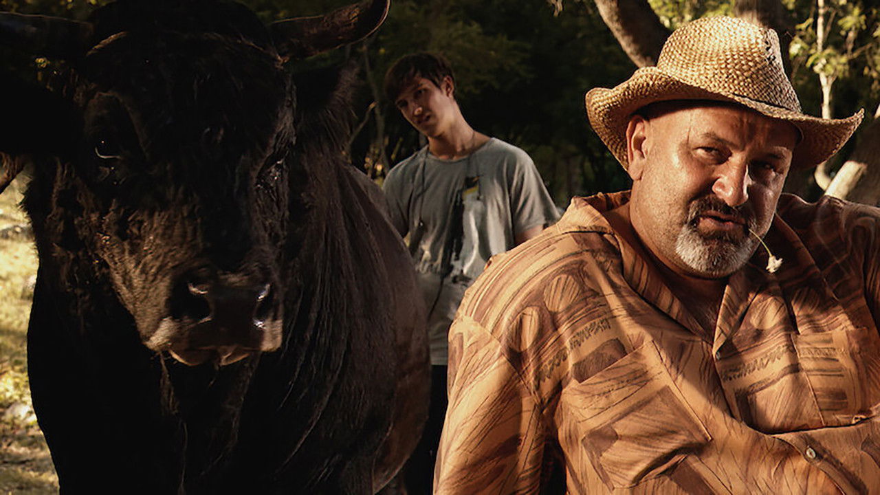 Sonja and the Bull backdrop