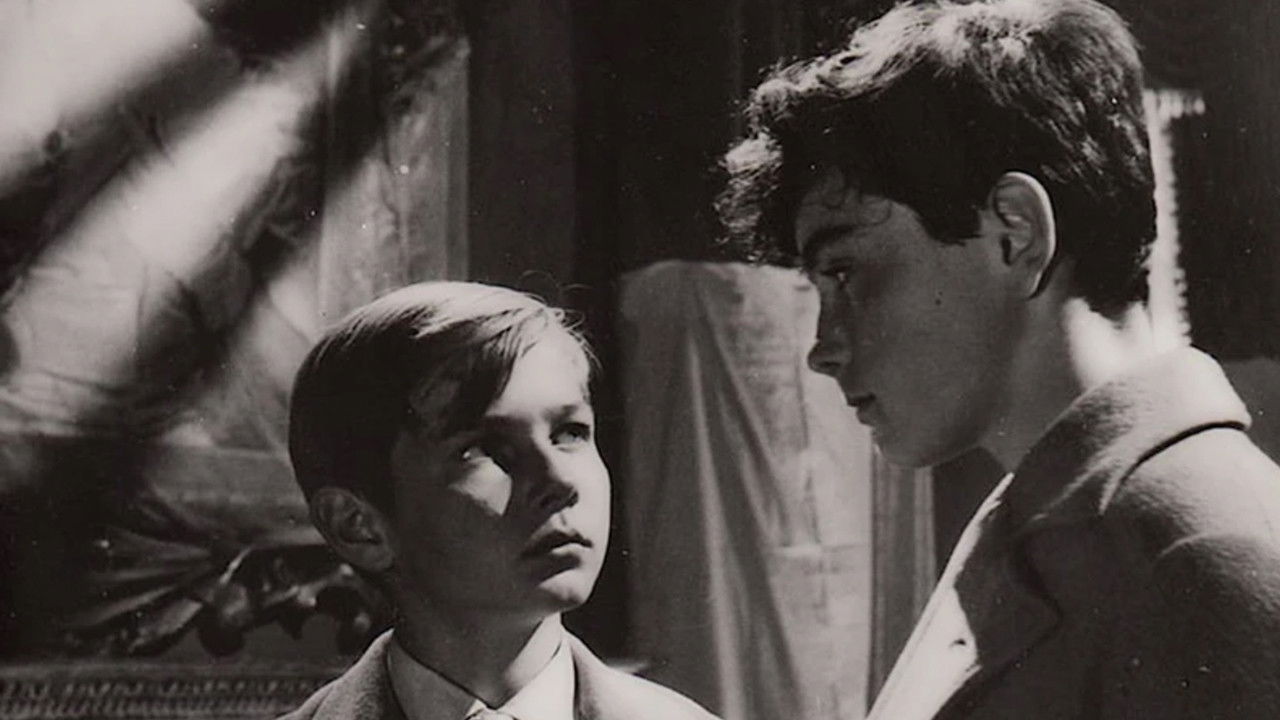 Friends for Life backdrop