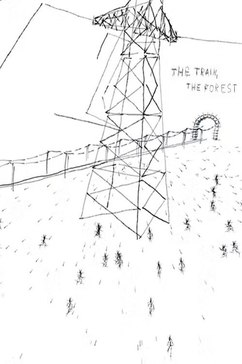 The Train, The Forest poster