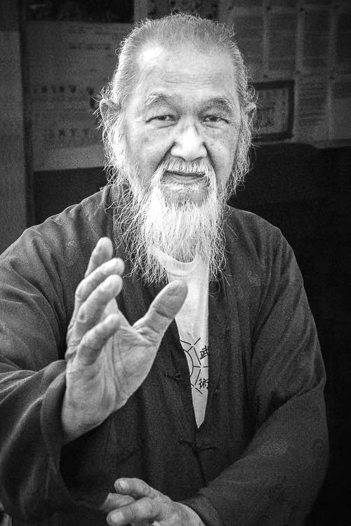 James Wing Woo as Tao Yi