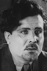 V. Piddubnyi as Sokolov, investigator