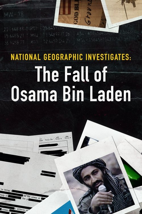 National Geographic Investigates: The Fall of Osama Bin Laden poster