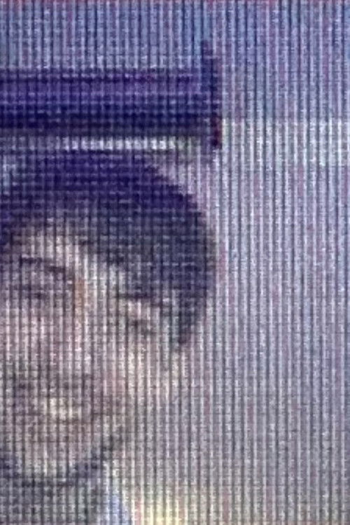 Luis Figueroa Caunedo as Michael