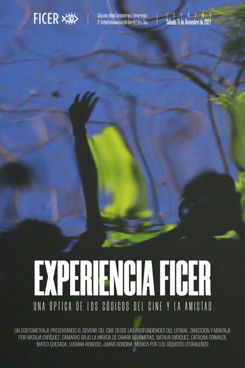 Experiencia FICER