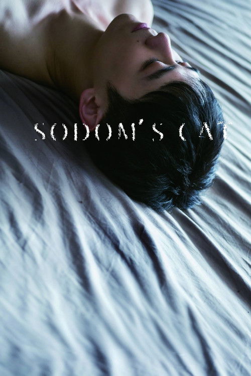 Sodom's Cat poster