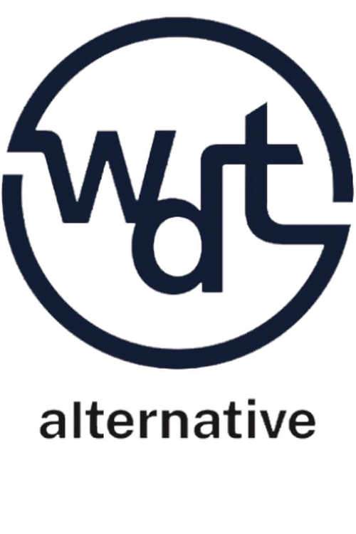 Walt Disney Television Alternative logo