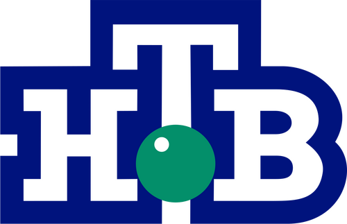 NTV logo