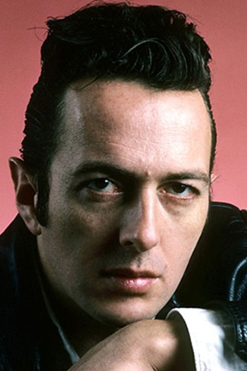 Joe Strummer as Himself