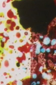 Traum A Dream poster