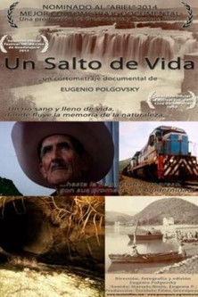 A Leap of Life poster