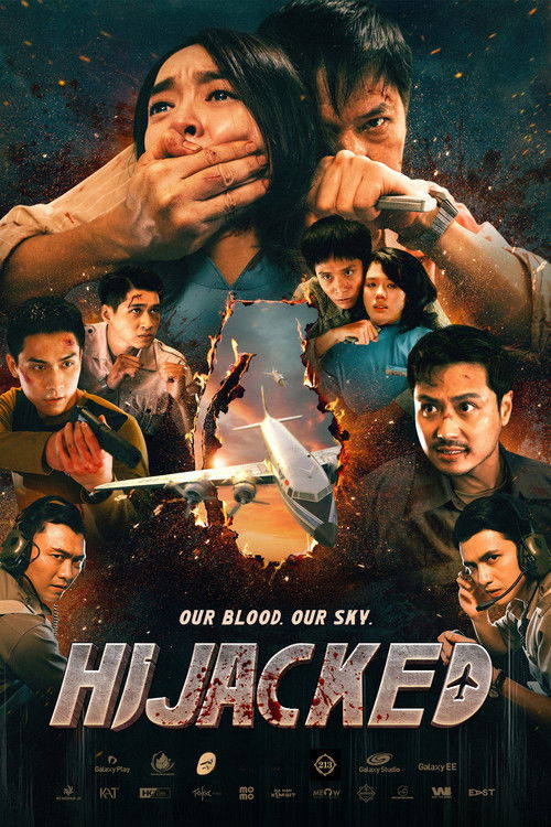 Hijacked poster