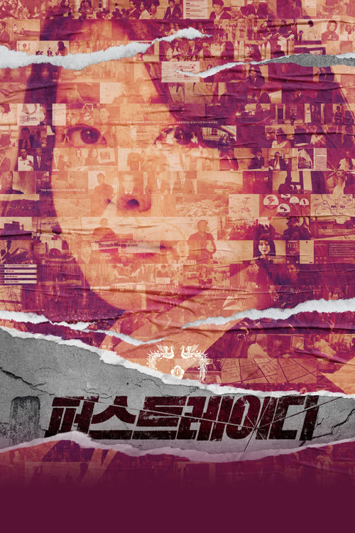 The First Lady poster