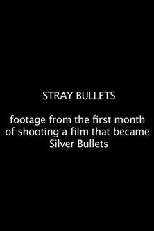 Stray Bullets