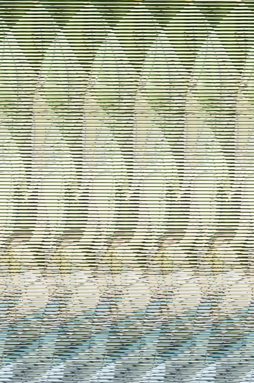 Spring Taylor as Wife