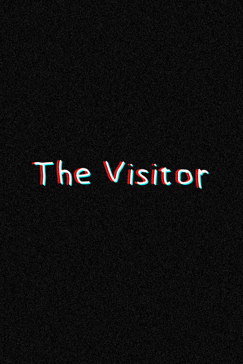 The Visitor
