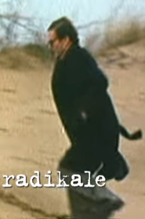 Der Sanfte Radikale poster