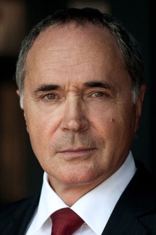 Rainer Laupichler as Anwalt