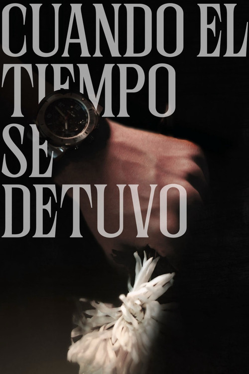 Cuando el tiempo se detuvo poster