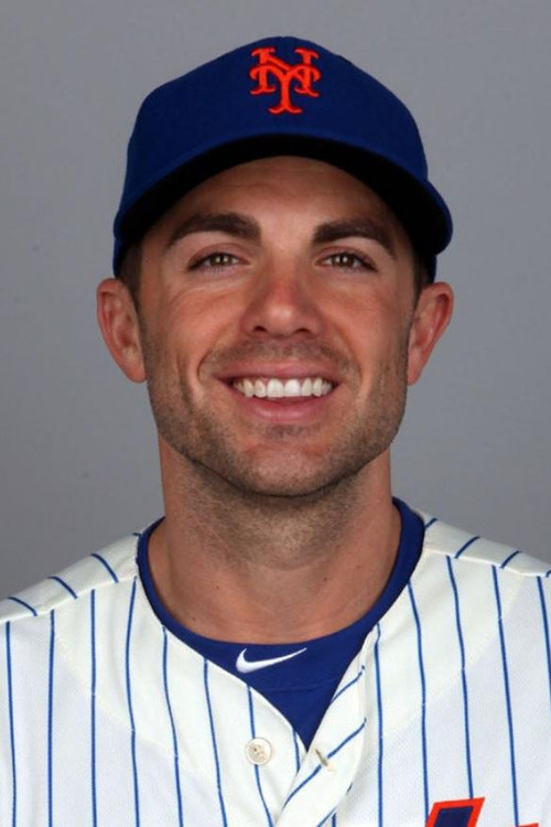 David Wright as Self