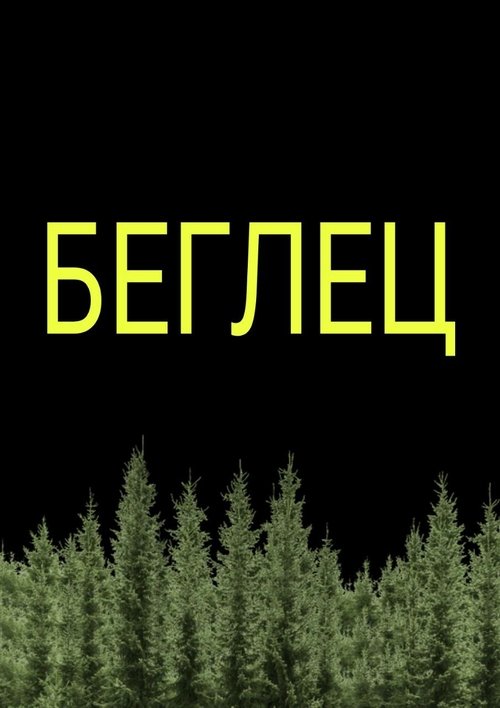 Stranger in the bush poster