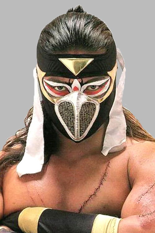 Eiji Ezaki as Hayabusa