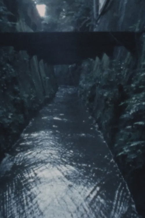 June Woods • July Swamp poster