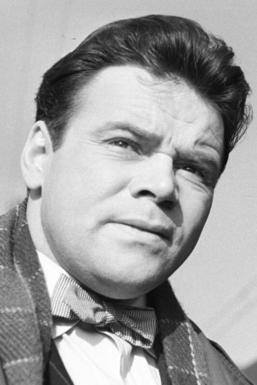 Henryk Staszewski as Traveller