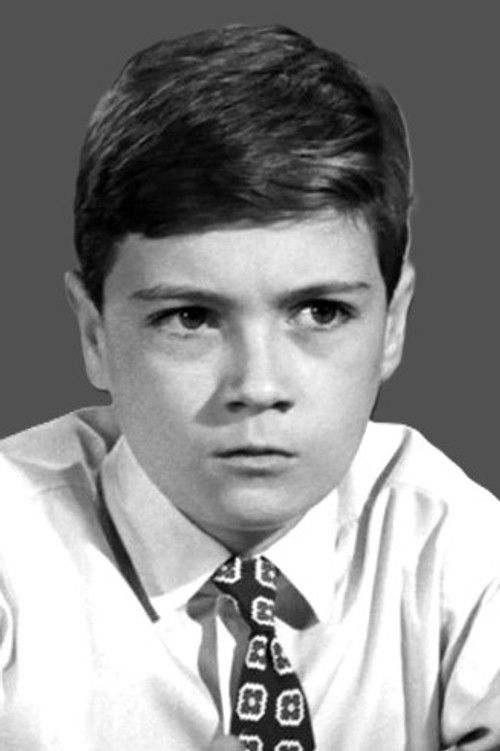 Phillip Alford as Boy Anderson