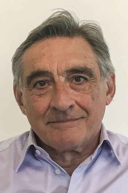 Ahmet İnsel as Self - Writer