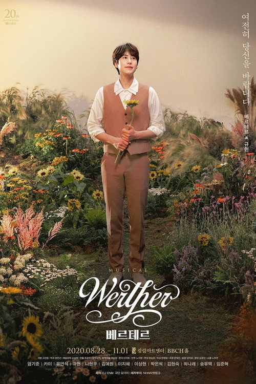 Werther poster