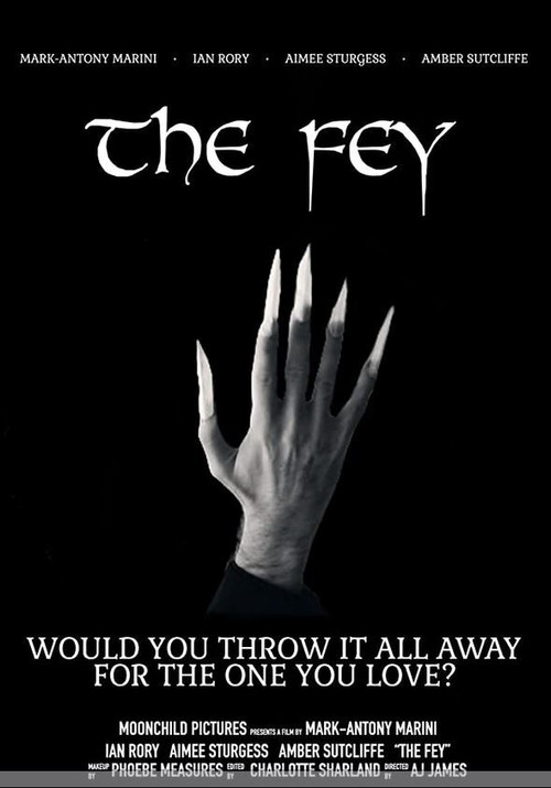The Fey poster