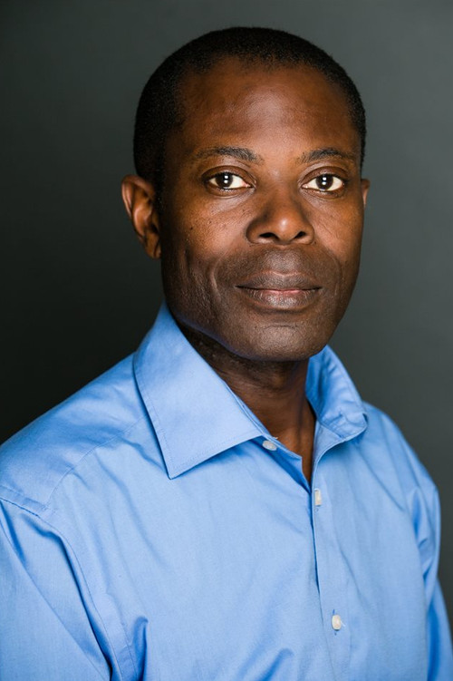 Anthony Chisholm as Representative