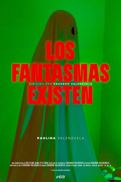 Los fantasmas existen poster
