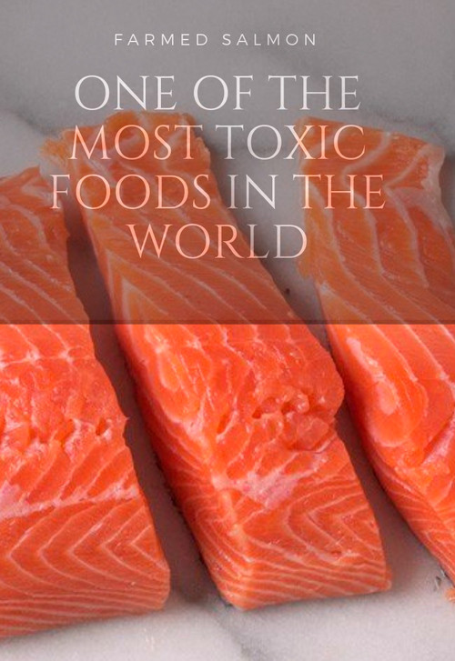 Fish: Farming in Troubled Waters poster