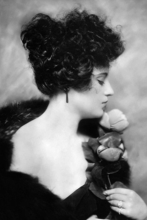 Yvonne Shelton profile photo