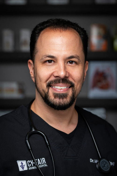 Michael Lavigne as Self