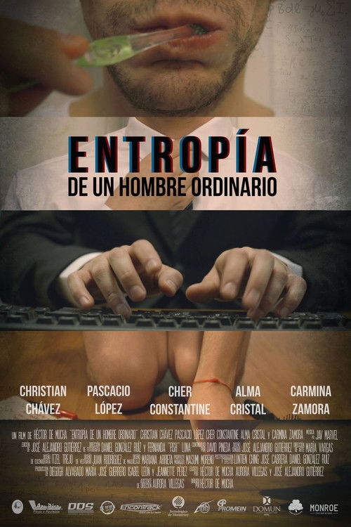 Entropía de Un Hombre Ordinario poster