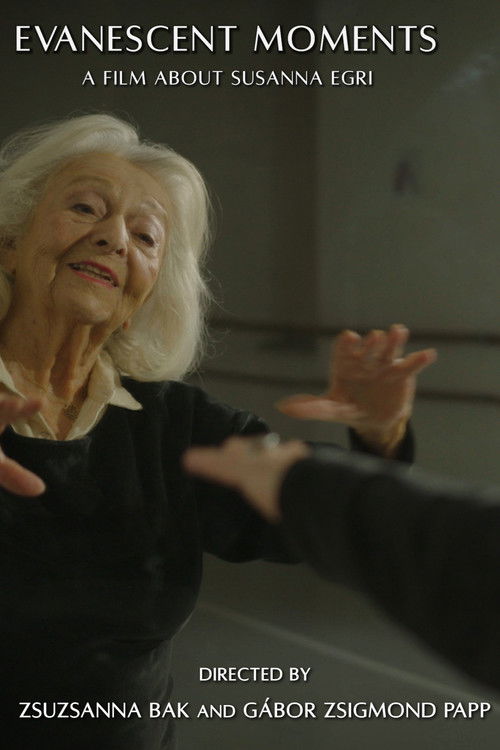 Evanescent Moments poster