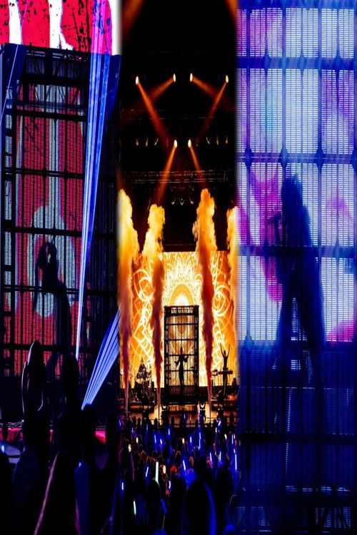 Ado『2025祭典：日本音乐体验之旅洛杉矶站 LIVE』 poster